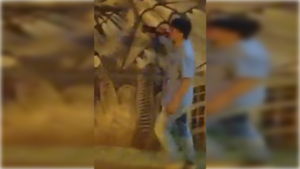 Chocó su auto por una casa, abandonó a su acompañante y rajó a pie chupando "ñoño"
