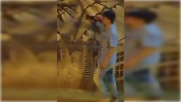 Chocó su auto por una casa, abandonó a su acompañante y rajó a pie chupando "ñoño"
