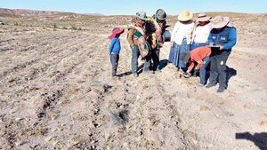 La sequía en Bolivia pone en riesgo a gran parte del país | OnLivePy