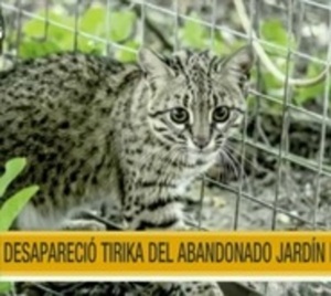 No hay novedades del tirika robado en el Jardín Botánico - Paraguay.com