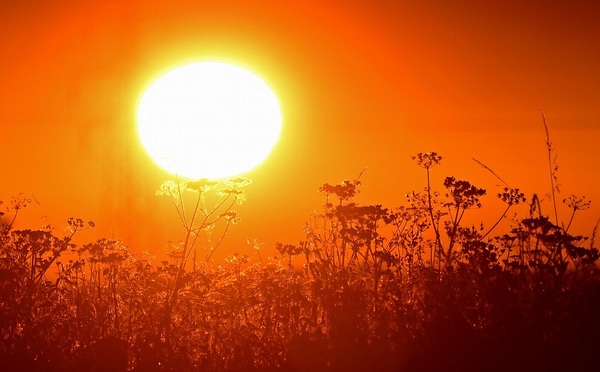 Diario HOY | Instan a extremar cuidados ante ola de calor