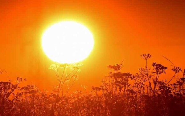 Instan a extremar cuidados ante ola de calor – Prensa 5