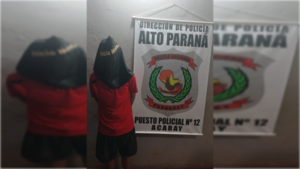 Apuñaló a su hermano y su madre lo entregó a la Policía