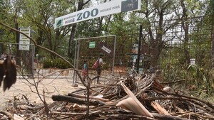Sin indicios de mejora, Zoológico de Asunción sigue con feo panorama