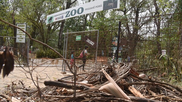 Sin indicios de mejora, Zoológico de Asunción sigue con feo panorama