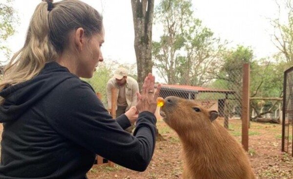 Itaipu conmemora Día del Biólogo y destacan preservación de especies