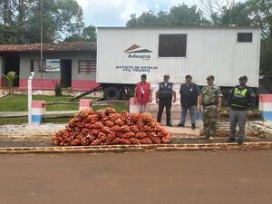 Decomisan más de una tonelada de cebollas en control aduanero de Itapúa