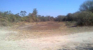 Alarmante falta de agua en el Chaco Paraguayo | 1000 Noticias