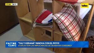 Video: empresaria innovó con el poyvi - ABC Noticias - ABC Color