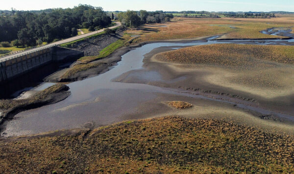 Uruguay prorroga emergencia agropecuaria por sequía - ADN Digital