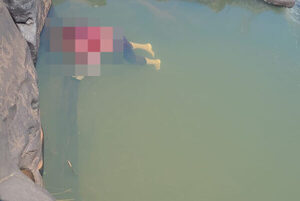 Se halló un teongue en el río Acahay