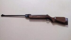 Niño de 11 años disparó accidentalmente a su primo de 10 con rifle de aire comprimido - Policiales - ABC Color
