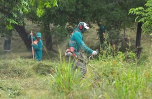 Los ocho departamentos donde aumentaron notificaciones por dengue - Nacionales - ABC Color