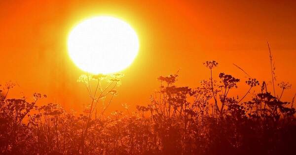 La Nación / Ola de calor: temperaturas superiores a 40 grados