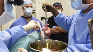 Trasplantan corazón porcino a un hombre para intentar salvar su vida | 1000 Noticias