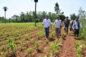 FISCALIZAN PROYECTOS PRODUCTIVOS FINANCIADOS POR LA EBY EN MISIONES