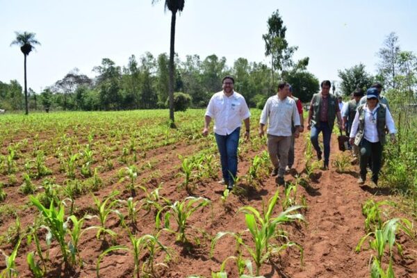 FISCALIZAN PROYECTOS PRODUCTIVOS FINANCIADOS POR LA EBY EN MISIONES