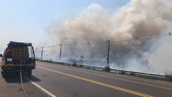 Ola de calor: Voraz incendio forestal en zona de la ruta Luque-San Ber