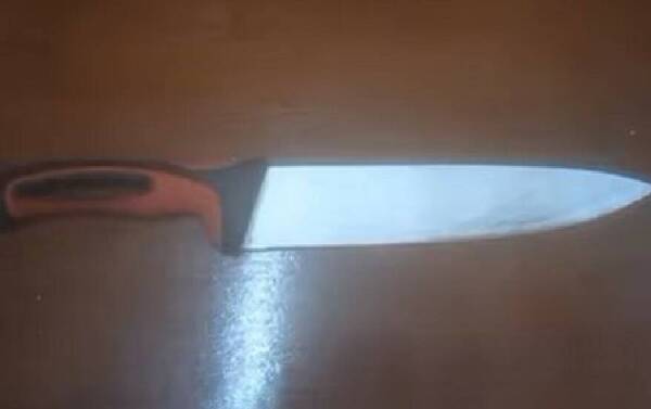 Alumno habría amenazado a sus compas con cuchillo de cocina