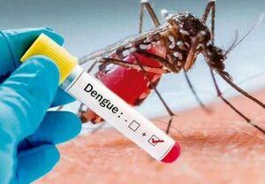 Aumentan notificaciones por Dengue | 1000 Noticias
