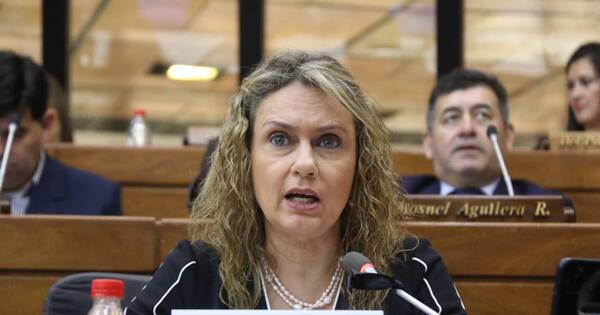 La Nación / Diputada presentará un proyecto de ley sobre el uso de PMMA