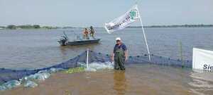 Tras largos 10 años YACYRETÁ sembró 2500 alevines en aguas del río Paraguay frente a la Ciudad de Pilar - .::RADIO NACIONAL::.