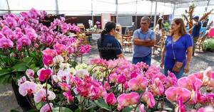 La Nación / En su tercer día, la Flori Feria invita a disfrutar de las exóticas orquídeas
