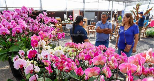 La Nación / En su tercer día, la Flori Feria invita a disfrutar de las exóticas orquídeas