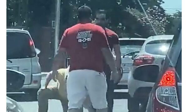 (VIDEO)Hubo feroz moquete en medio del tránsito y el calor