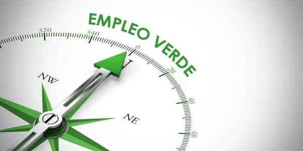El rol de REDD+ en Paraguay para la generación de empleo y activación económica
