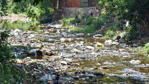 Arroyos colmatados de basura ponen en riesgo a ciudadanos