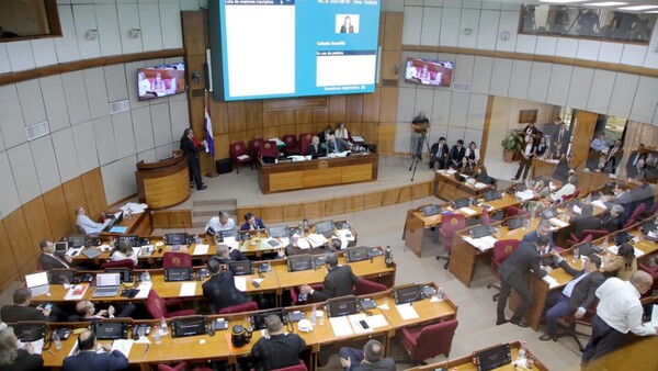 Los senadores continúan abultando la cantidad de comisiones asesoras