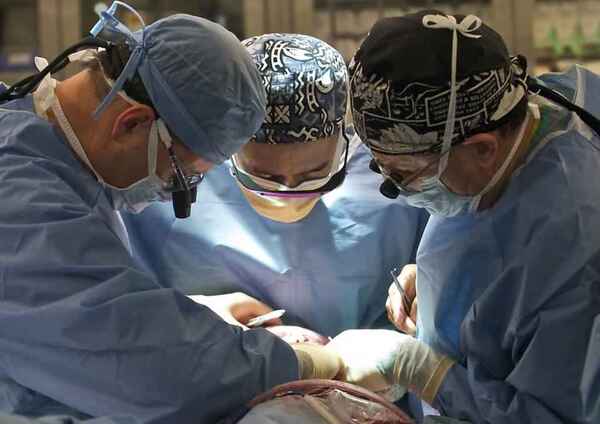 Médicos realizan un trasplante de corazón de cerdo a un paciente estadounidense