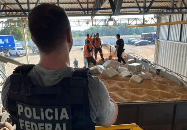 Incautan en Brasil más de 5 toneladas de marihuana paraguaya - ABC en el Este - ABC Color
