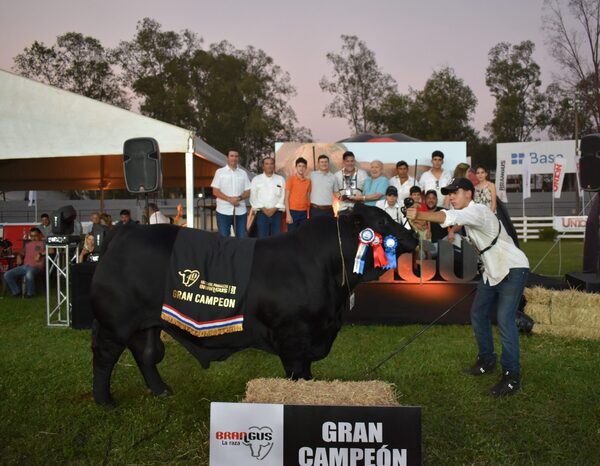 Gran Campeón Ternero para Javier Dos Santos y Gran Campeón para la sociedad Pukavy – Doña Inés