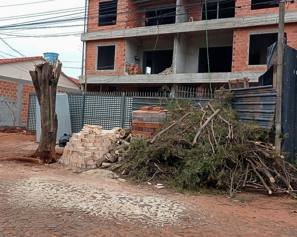 La comuna aplica multas por poda irregular de árboles