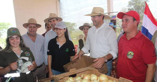 La Nación / Destacan avances logrados en el rubro de la cebolla en Itacurubí del Rosario