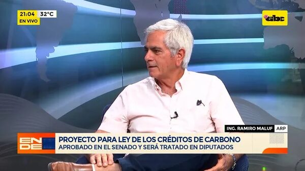 Video: proyecto para ley de los Créditos de Carbono - En Detalles - ABC Color