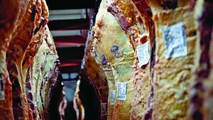 Mercosur exportaría un récord de 5,21 millones de toneladas de carne vacuna en 2024