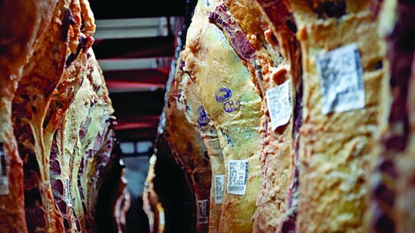 Mercosur exportaría un récord de 5,21 millones de toneladas de carne vacuna en 2024