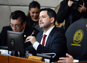 El titular de Diputados calificó al cobro del peaje en la hidrovía como una agresión económica - MarketData