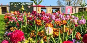 Bienal de Jardinería relanza la imagen de la ciudad alemana de Mannheim - Viajes - ABC Color