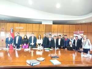Diputados cartistas, con posturas divididas por intervención de Municipalidad de Carapeguá - Nacionales - ABC Color