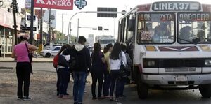 Analizarán por qué se duplica el subsidio a transportistas en el Presupuesto 2024 - Nacionales - ABC Color