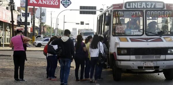 Analizarán por qué se duplica el subsidio a transportistas en el Presupuesto 2024 - Nacionales - ABC Color