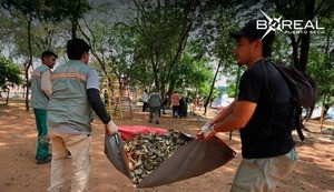Dengue y chikungunya: Senepa intensifica mingas ambientales - Unicanal