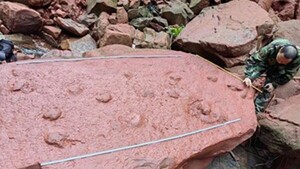 Niño de 10 años descubre huellas de dinosaurio mientras jugaba cerca de un río en China