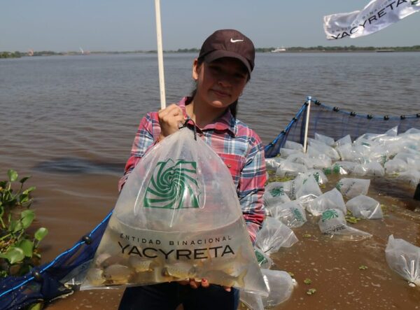 EBY siembra peces en Rio Paraguay
