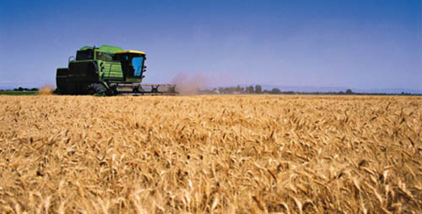 La agricultura se expande y se va consolidando en el Chaco - Portal Digital Cáritas Universidad Católica