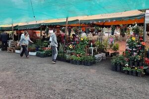 Cordillera: tres actividades para aprovechar el fin de semana y hacer turismo interno con la familia - Viajes - ABC Color
